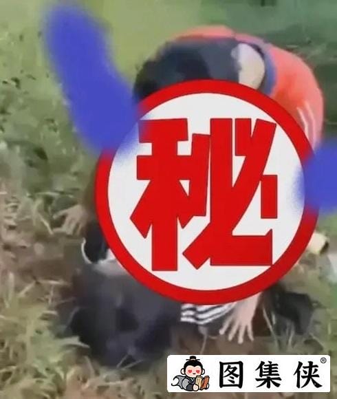 周口刘双婷麦地战神的视频是啥意思?有什么瓜?-5 周口刘双婷麦地战神的视频是啥意思?有什么瓜?