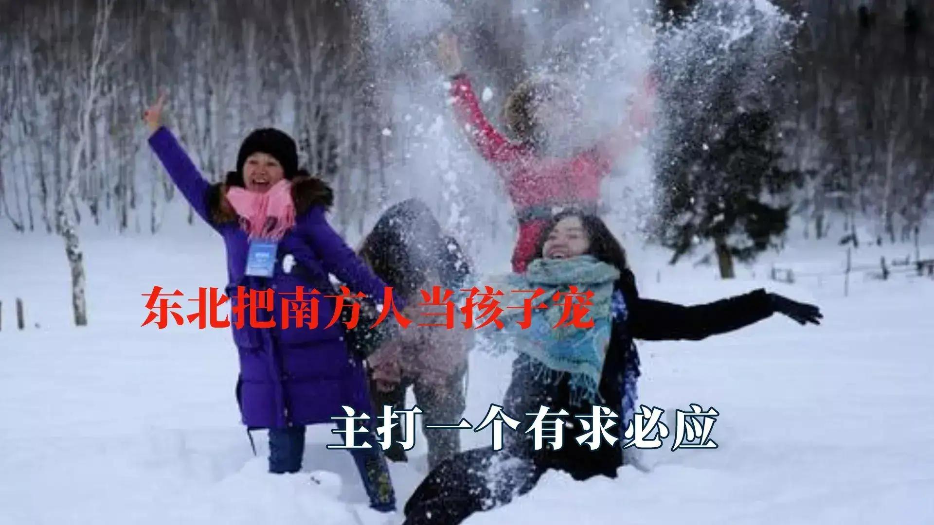 南方小土豆是什么梗?南方小土豆勇闯大东北-6 南方小土豆是什么梗?南方小土豆勇闯大东北