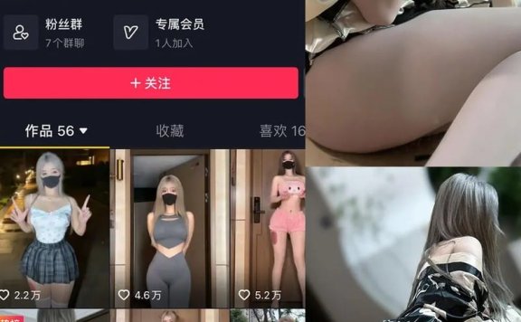 阿尔卑香小狗子 – 微密圈写真&视频合集【持续更新中】