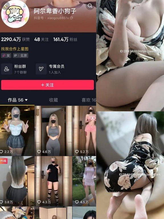 阿尔卑香小狗子 – 微密圈写真&视频合集【持续更新中】