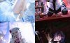 w百合欧皇子w – 写真图片合集【持续更新中】